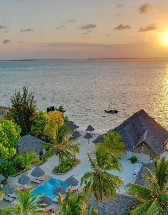 Horizon Of Michamvi Beach Zanzibar Buitenkant foto