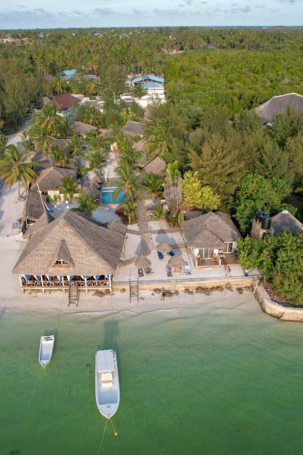 Horizon Of Michamvi Beach Zanzibar Buitenkant foto