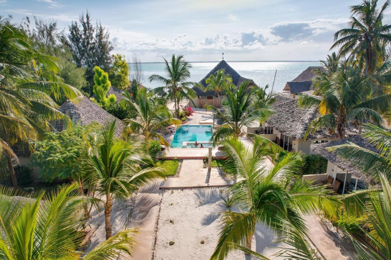 Horizon Of Michamvi Beach Zanzibar Buitenkant foto